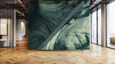 Close up Franklin's face  on a one hundred dollar. American, US Dollars Cash Money background. Wall mural