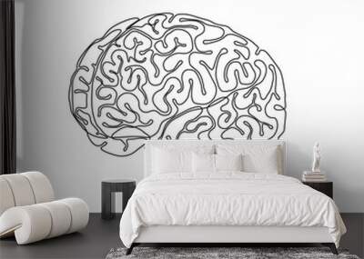 Continuous line drawing of a human brain with gyri and sulci, multipurpose single line concept or icon Wall mural