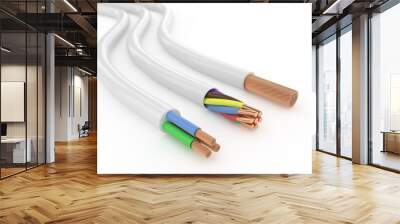 Electrical cables Wall mural