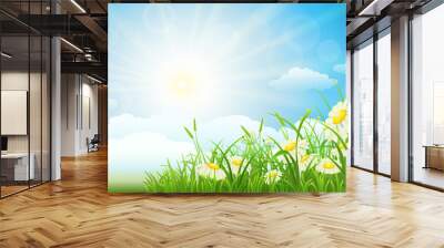 Summer meadow landscape with green grass, flowers, sky and sun Wall mural