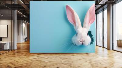 Easter bunny ears sticking out of hole on pastel blue background with copy space Wall mural