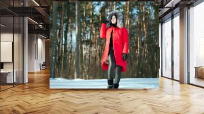 photographs with a young woman in the winter forest. girl in a snowy park. in a red jacket on the banks of a frozen river. winter walk in nature. Cold season. Beautiful girl, sunny day. Wall mural