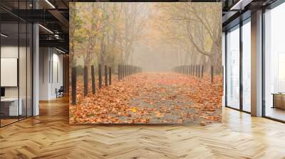 Foggy morning alley of sycamore trees strewn with dry yellow and brown leaves, row of small wooden posts, misty distance, autumn park Wall mural