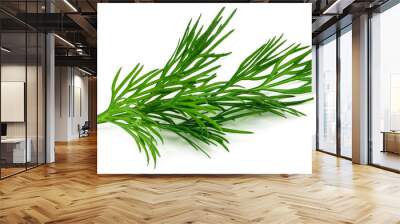 fresh green dill isolated on white background. macro Wall mural