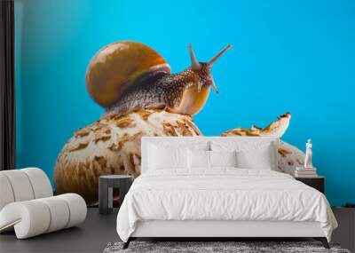 grape snail on a mushroom against a blue sky Wall mural