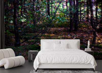 Amanita muscaria in the autumn forest. Forest mushrooms in the autumn forest. Wall mural