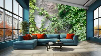 Wall of large natural stones with some greenery, natural background. Great for design and texture background. Wall mural