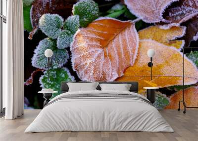 background from autumn leaves Wall mural