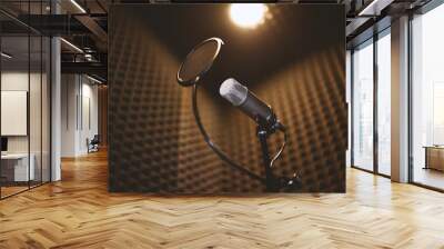 microphone inside a professional recording sound room Wall mural