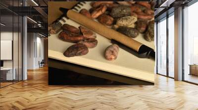 Organic, natural cocoa beans, close-up, on a white background. Wall mural