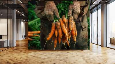 Organic Carrots Harvest: Farmers Gathering Fresh, Healthy Vegetables in Garden Wall mural