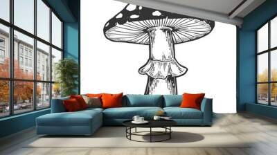 Amanita mushroom sketch engraving PNG illustration with transparent background Wall mural