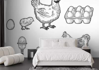 Chicken hen and eggs set line art sketch engraving vector illustration. T-shirt apparel print design. Scratch board imitation. Black and white hand drawn image. Wall mural