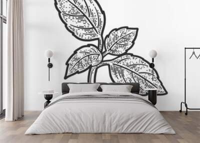 Cooking basil leaf sketch raster illustration Wall mural