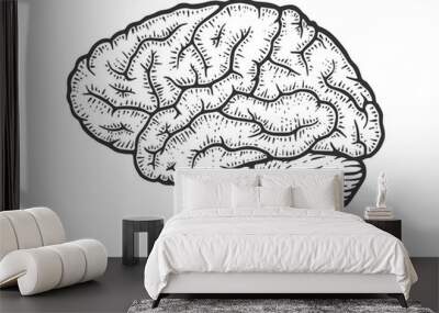 Human brain schematic vintage sketch engraving vector illustration. Scratch board style imitation. Black and white hand drawn image. Wall mural