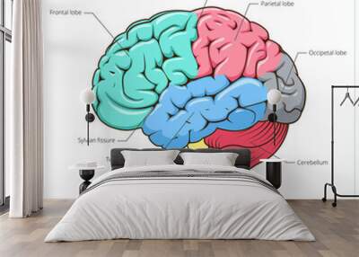 Structure of human brain schematic PNG illustration. Medical science educational illustration Wall mural