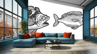 Three fish chasing each other and trying to eat swallow sketch engraving vector illustration. Tee shirt apparel print design. Scratch board style imitation. Black and white hand drawn image. Wall mural