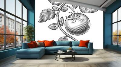 Tomato branch with leaves hand drawn engraving style vector illustration. Scratch board style imitation. Black and white hand drawn image. Wall mural