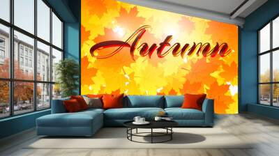 Autumn background with leaves. Back to school. Stock Vector illu Wall mural