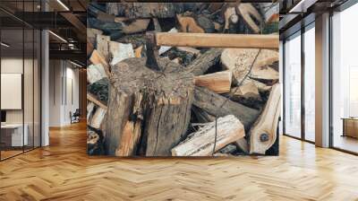 The ax lies on the wood. Firewood chopping. Preparation of firewood for the winter. Iron ax with wooden handle Wall mural