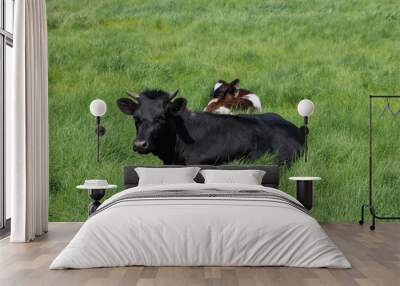 The two girls lying on the green grass on a warm summer day Wall mural