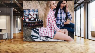 Two beautiful girls in colored shirts sitting on the grass on the hillside. Watch the sunset, drinking wine, hug, happy. picnic Wall mural