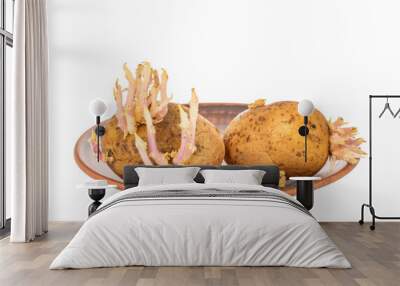 Two potatoes with sprouts on a clay plate, macro, isolated on a white background. Wall mural