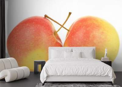 Two ripe organic, juicy, fragrant apples, close-up, on a white background. Wall mural