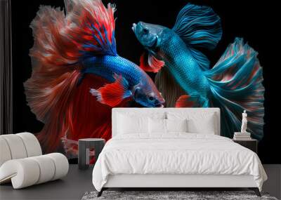 Two siam fighting fish. Generative AI Wall mural