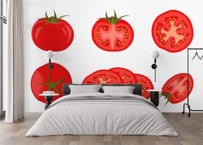 Vector illustration.Collection tomatoes on white background. Wall mural