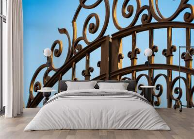 wrought-iron gates, ornamental forging, forged elements close-up Wall mural