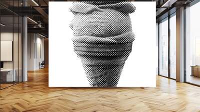 ice cream cone isolated halftone dots texture bitmap retro vintage pop art style collage element for mixed media modern crazy design banner poster Wall mural