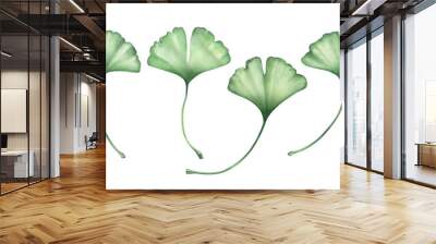 Ginko leaves isolated on white. Watercolor hand drawn illustration. Wall mural