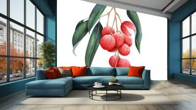 Lychee branch isolated on white background. Hand drawn watercolor illustration. Wall mural