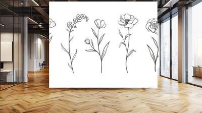 Set of Herbs and Wild Flowers. Hand drawn floral elements. Vector illustration Wall mural