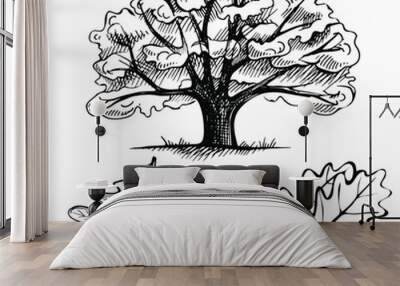 Sketch ink oak tree. hand drawn acorn and leaf. illustration on a white background Wall mural