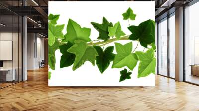 Spring ivy plant vector seamless border, climbing vine leaf frame, liana creeper twig illustration on white. Nature greenery ornament background, floral realistic foliage clipart. Ivy plant branch Wall mural