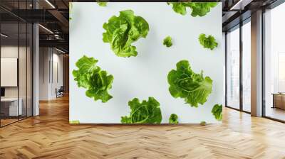 A close up of many green lettuce leaves on white background. Wall mural