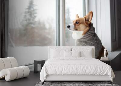 Corgi dog in a warm sweater sits on the windowsill and looks out the window at the snow in the backyard of the house. Wall mural