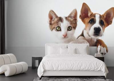 Kitten and puppy peeking out behind a white blank board. Advertising banner template for pet store or veterinary clinic. Wall mural