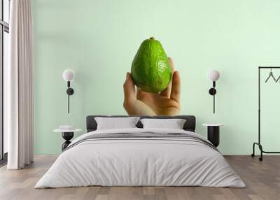 Person hand hold avocado fruit isolated on green background. Wall mural