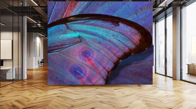 abstract pattern of bright colorful wings of a tropical morpho butterfly. ornament of butterfly wings. close up Wall mural