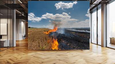 Fire burns stubble on the field destroy summer Wall mural