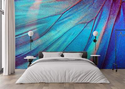 Butterfly wings texture background. Detail of morpho butterfly wings.	 Wall mural