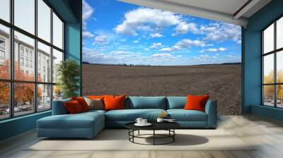 Clear blue sky over a plowed field. Landscape. Wall mural