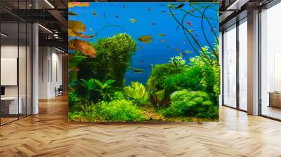 Tropical fresh water aquarium Wall mural