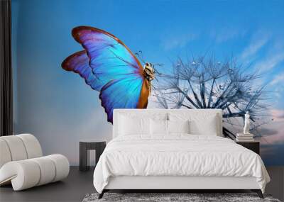 Natural pastel background. Morpho butterfly and dandelion. Seeds of a dandelion flower in drops of water on a background of sunrise. Copy space. Wall mural