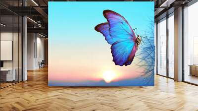 Natural pastel background. Morpho butterfly and dandelion. Seeds of a dandelion flower in drops of water on a background of sunrise. Wall mural