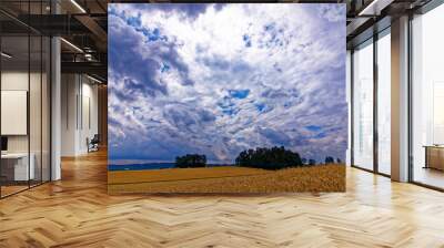 beautiful sky with clouds over the field near the forest Wall mural