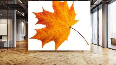 autumn leaves. Wall mural